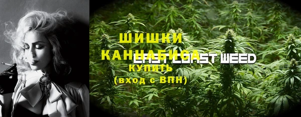хмурый Арсеньев