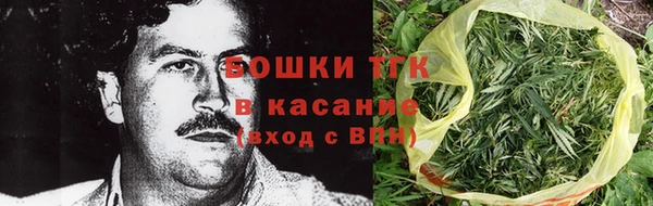тгк Аркадак
