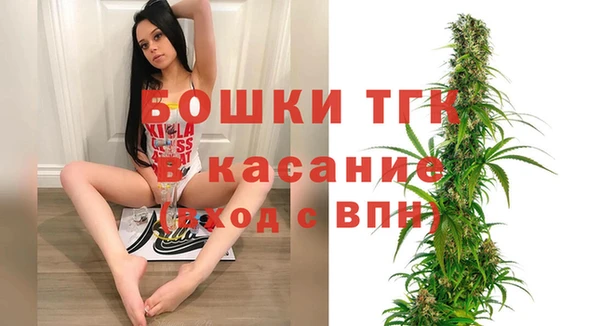 хмурый Арсеньев